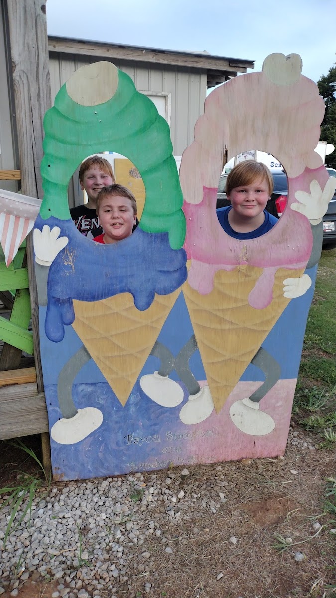 Bayou Snowball & Sandwiches Photo 4