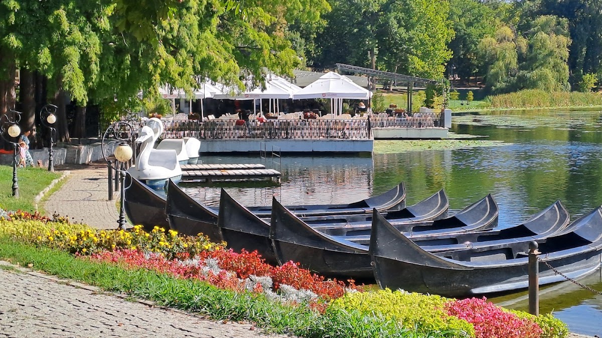Restaurant Debarcader Photo 4