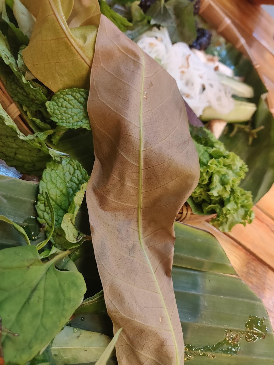 VIETSEA® I - VUA LẨU Photo 8