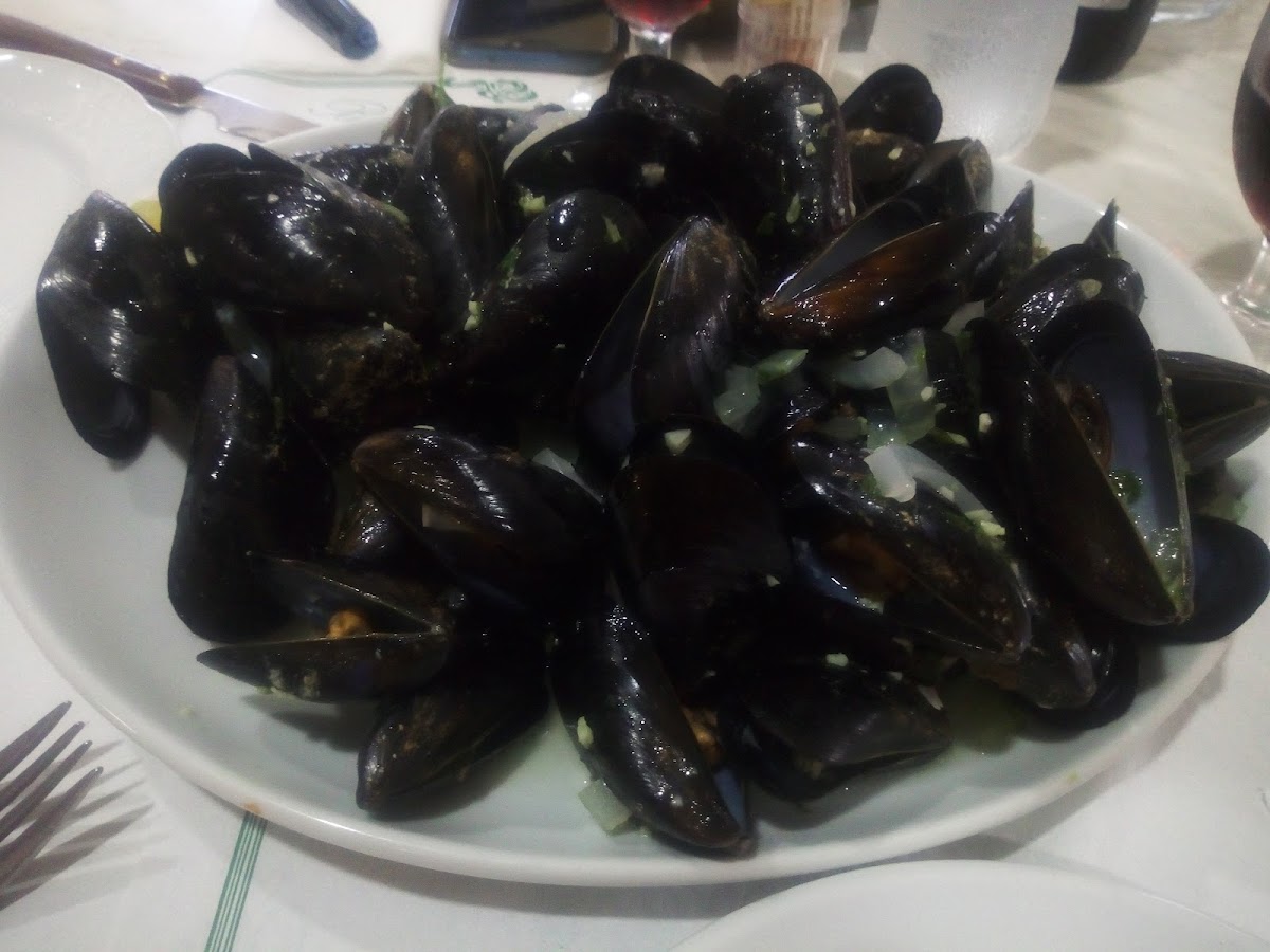 bar bodega costa brava Photo 8
