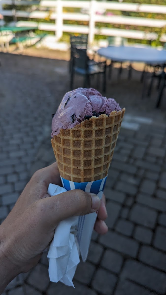 Shaw's Ridge Farm Ice Cream, BBQ & Mini-Golf Photo 4