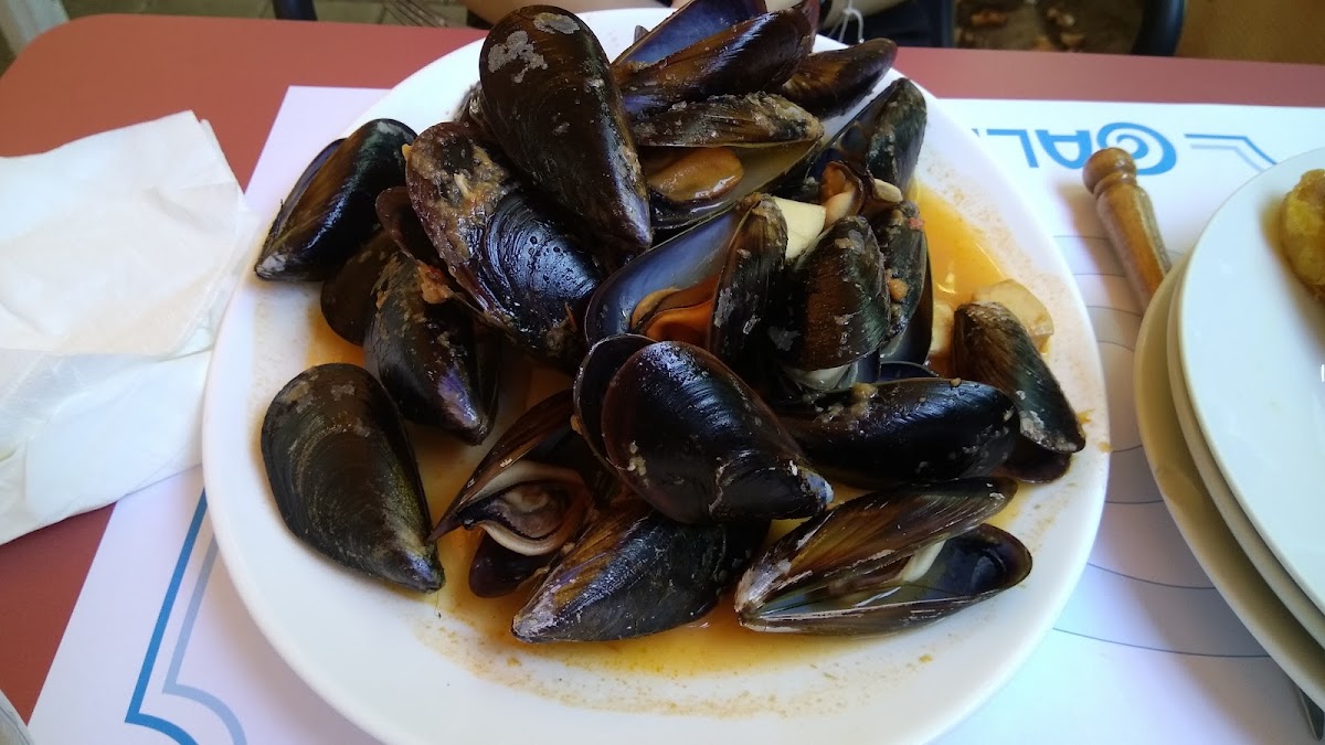 Galician Grill Photo 10