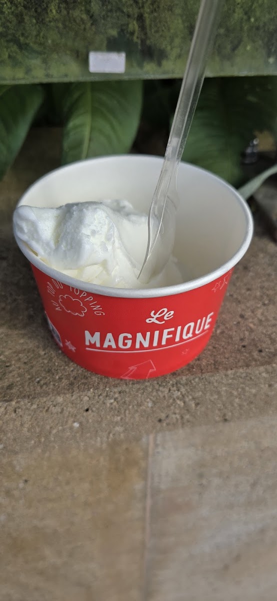 Yogurt FACTORY C.C. Garbera. Photo 7