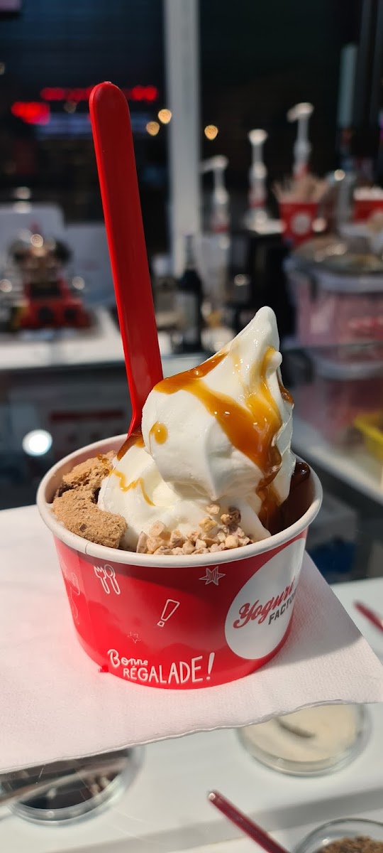 Yogurt FACTORY C.C. Garbera. Photo 8