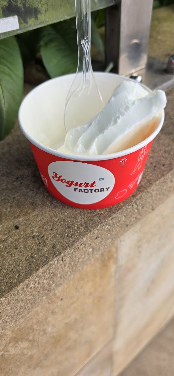 Yogurt FACTORY C.C. Garbera. Photo 9