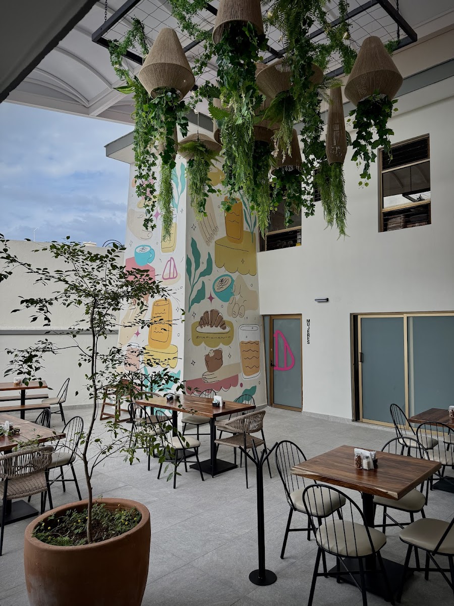 Piloncillo Café Boutique Jardines de la Cruz