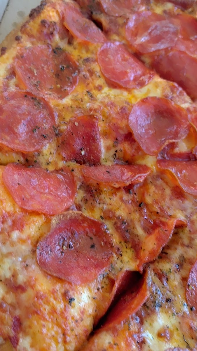 Domino's Pizza Villa del Prado Photo 2