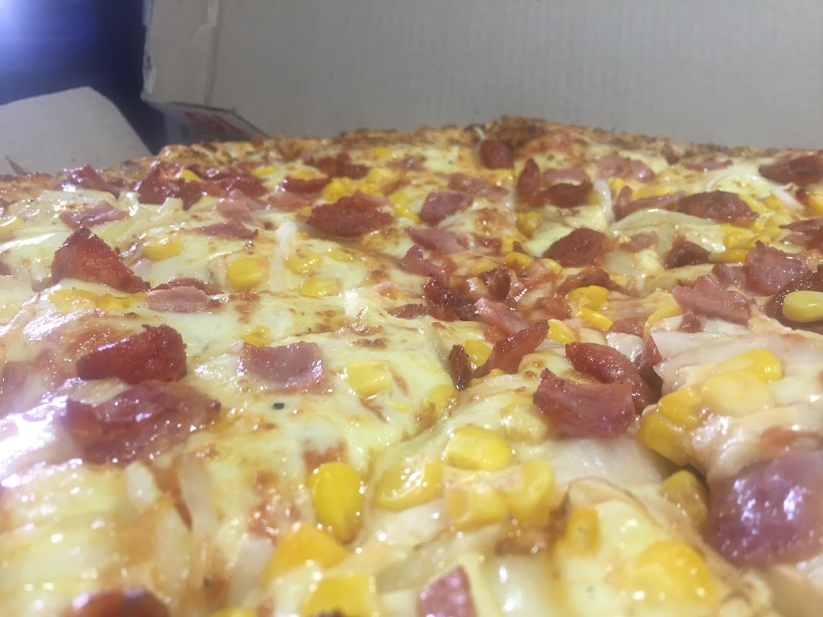 Domino's Pizza Villa del Prado Photo 6