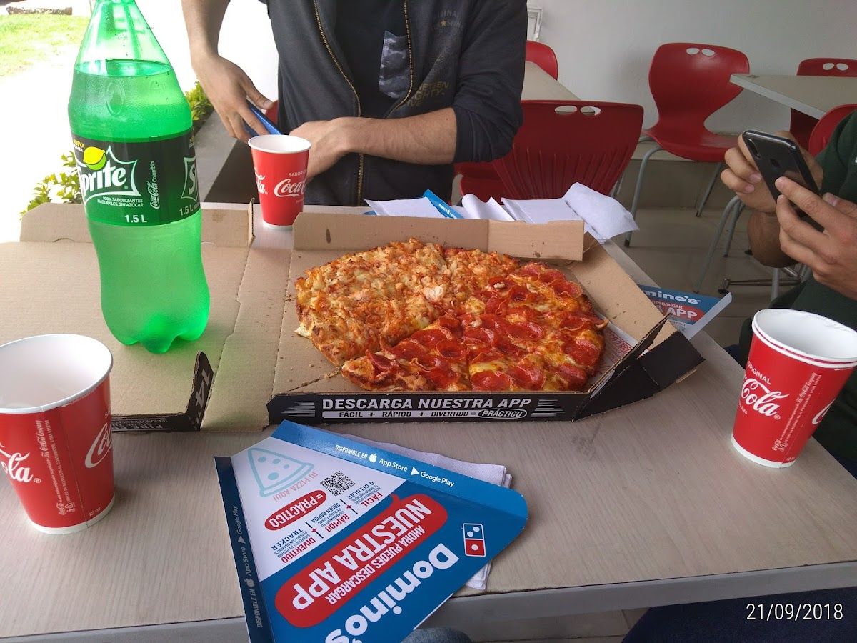 Domino's Pizza Villa del Prado Photo 7
