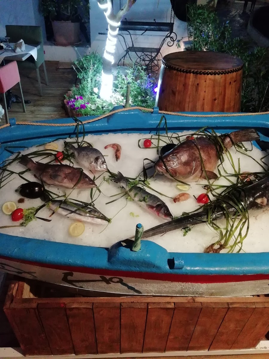 Restaurant Bristol Plazza Hammam Sousse Photo 7