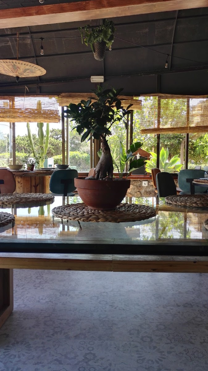 sakundi kitchen