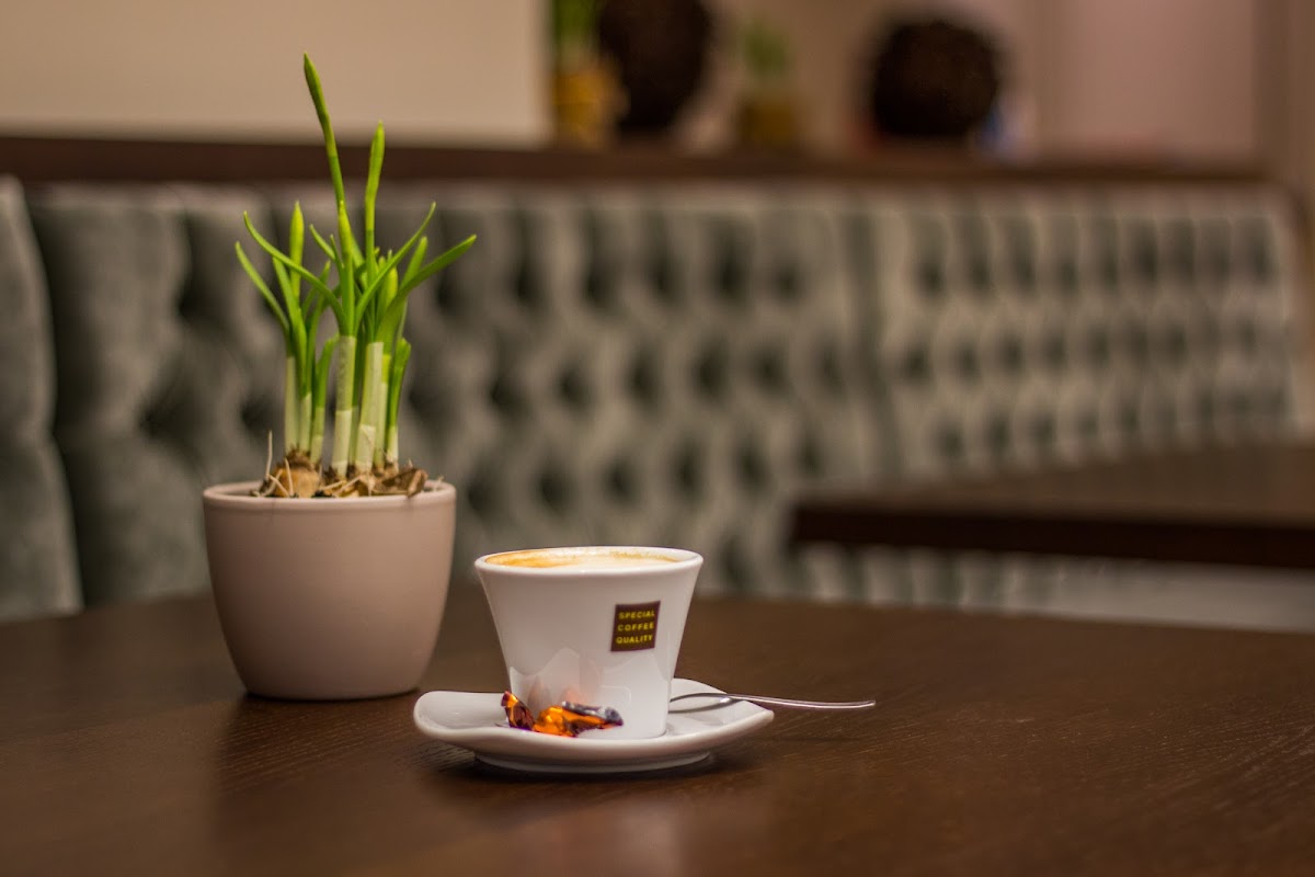Caffe' Kaan Photo 4