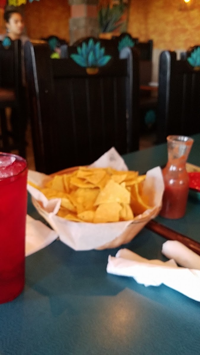 El Maguey Photo 6