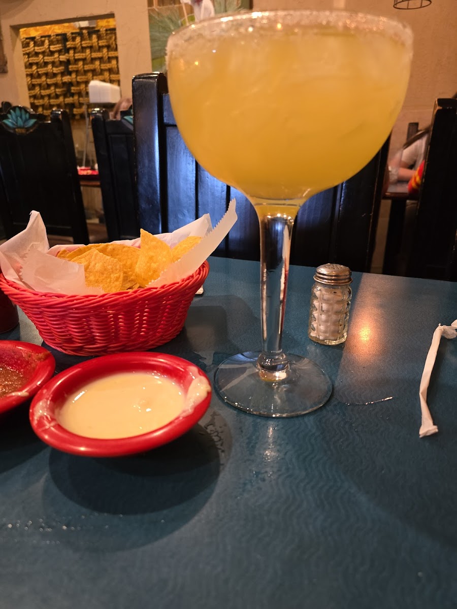 El Maguey Photo 7