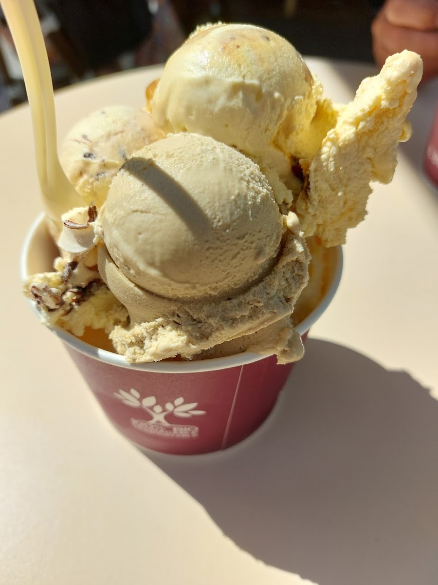 Eisdiele Regenstauf Photo 5