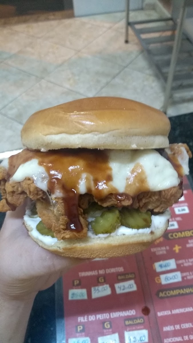 America Chicken Photo 5