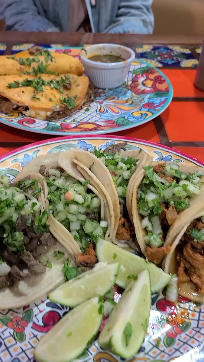 El Limon Ambler Photo 2