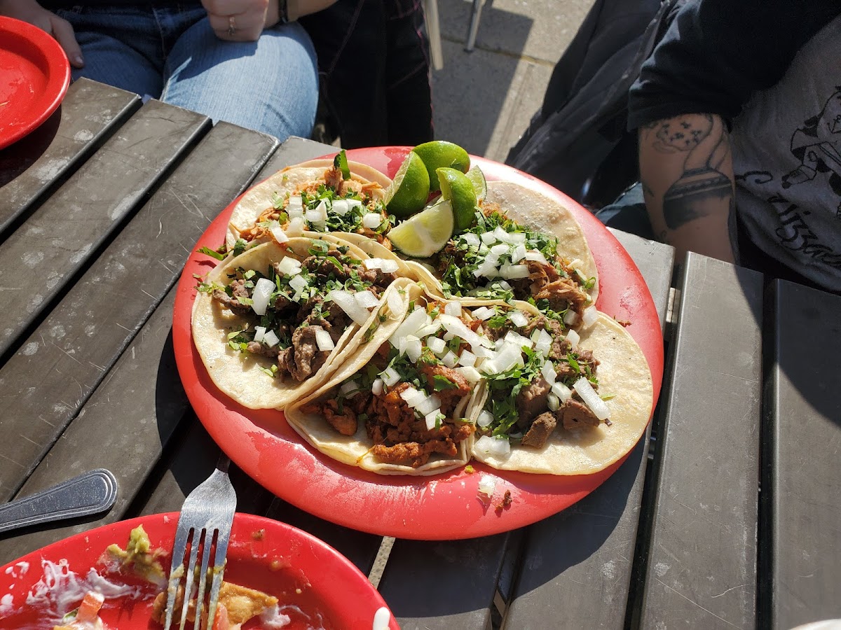 El Limon Ambler Photo 6