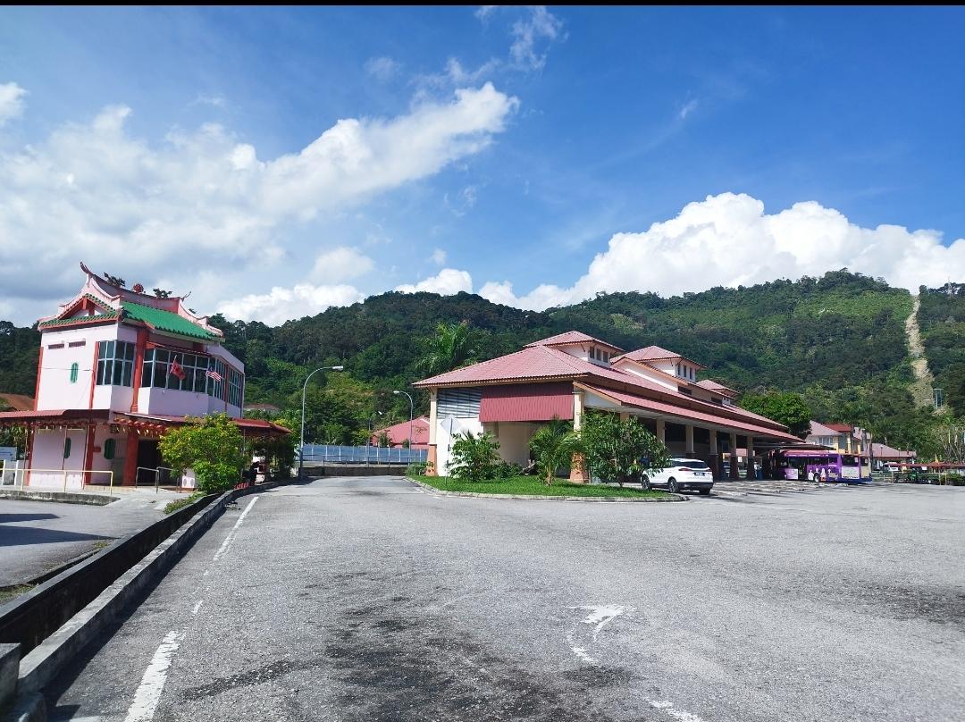 Balik Pulau 808 Durian Photo 2