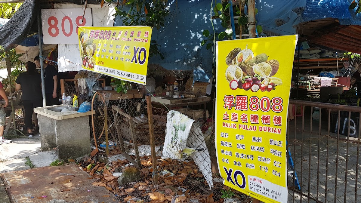 Balik Pulau 808 Durian Photo 3