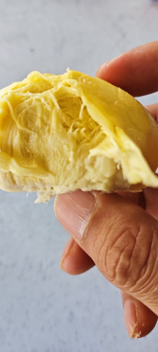 Balik Pulau 808 Durian Photo 4