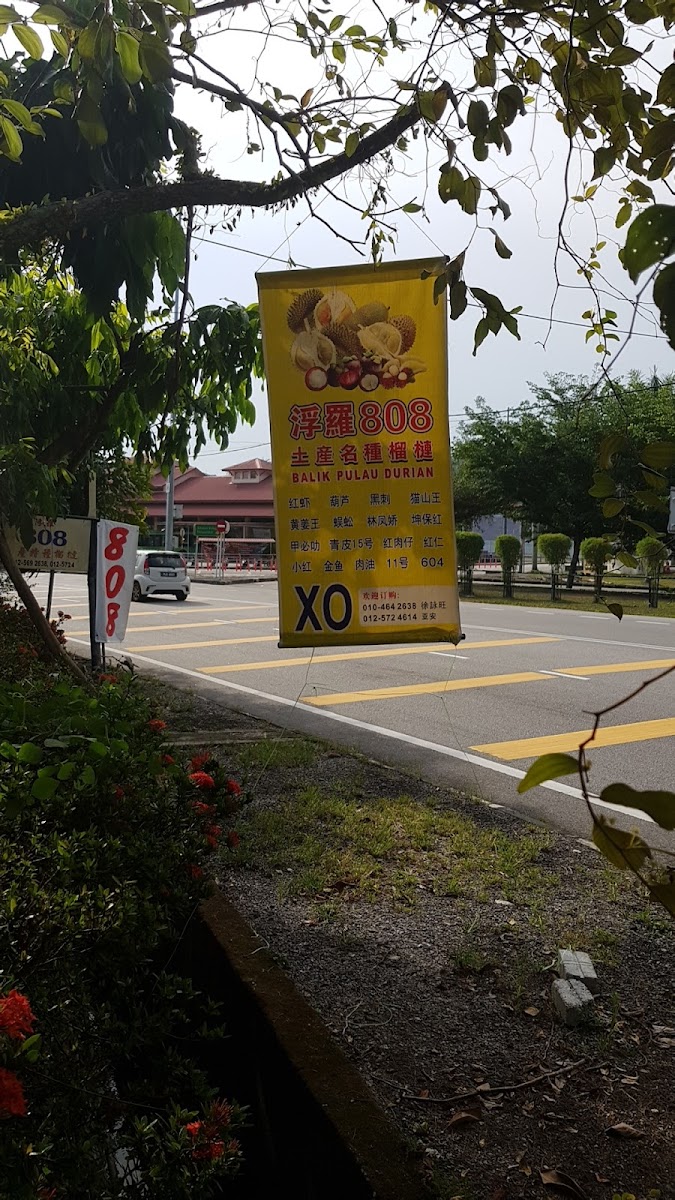 Balik Pulau 808 Durian Photo Menu 1