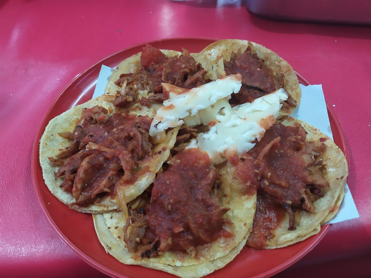 Taqueria El Bailarin Photo 4