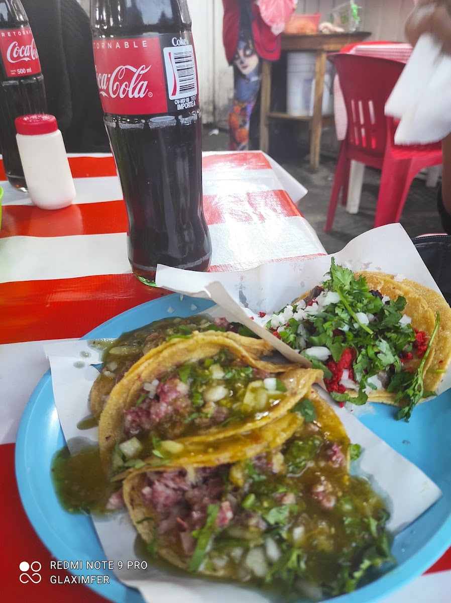 Taqueria El Bailarin Photo 5