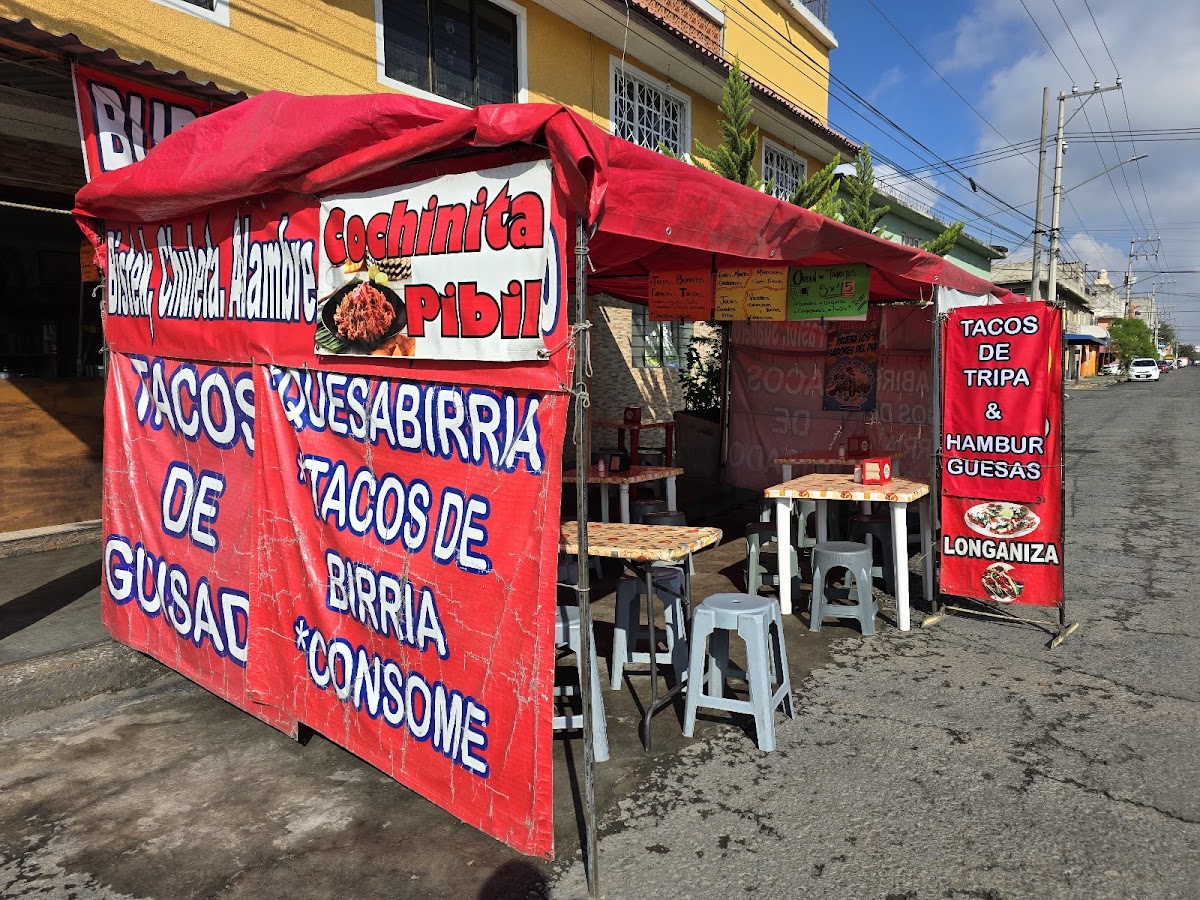 Tacos de Guisado