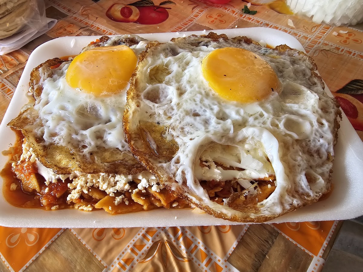 Tacos de Guisado Photo 2