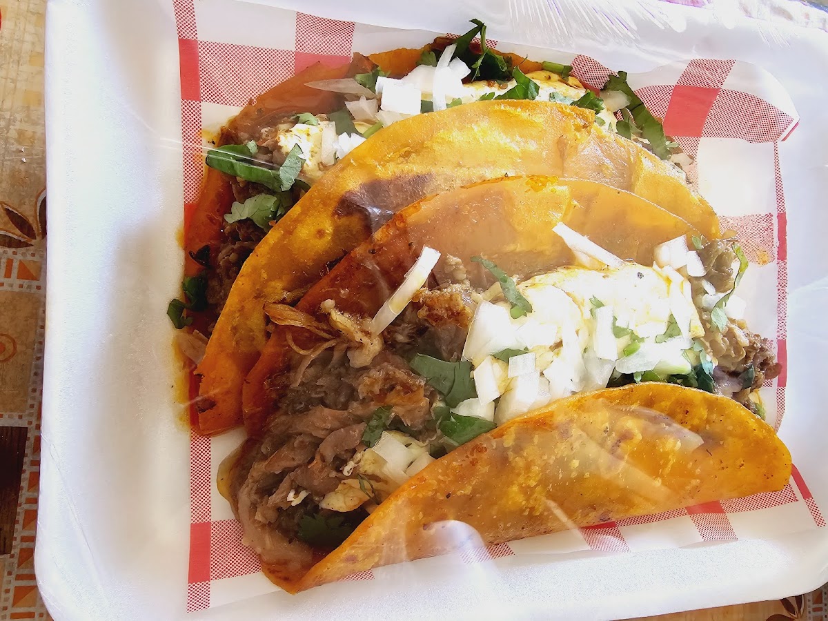 Tacos de Guisado Photo 3