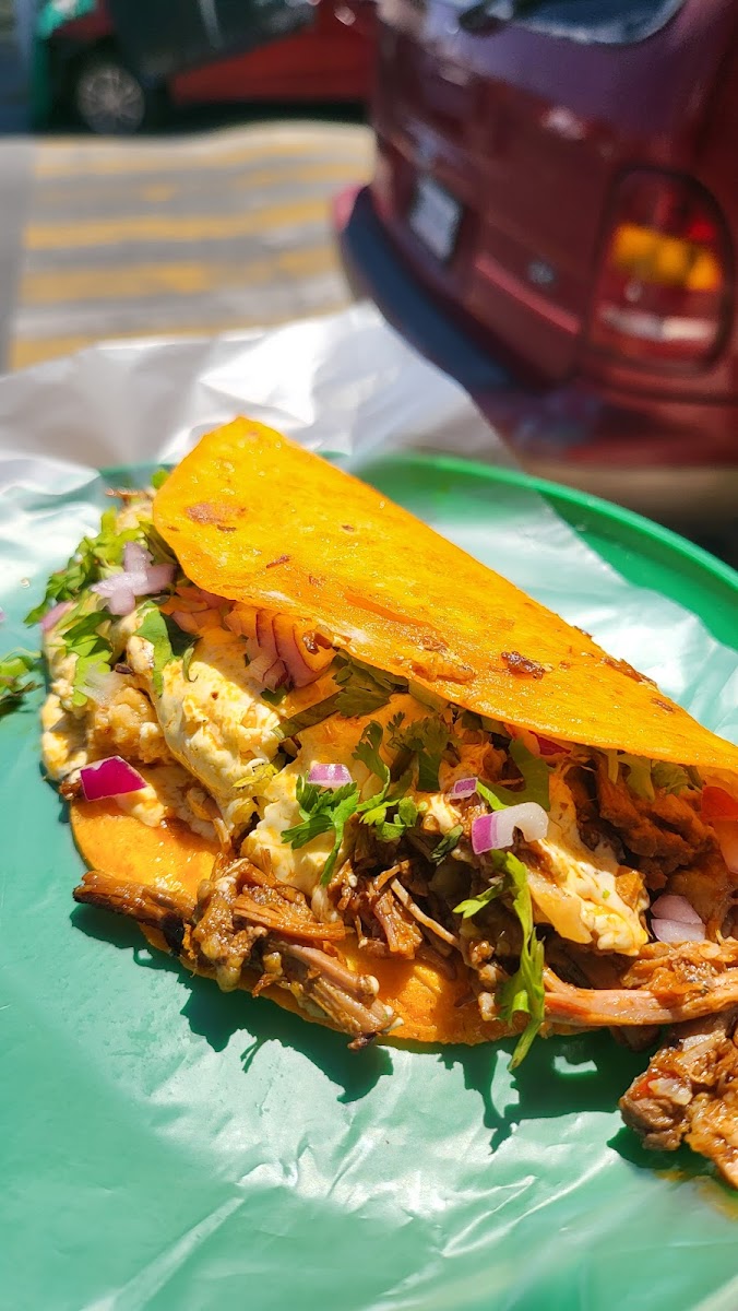 Tacos de Guisado Photo 7