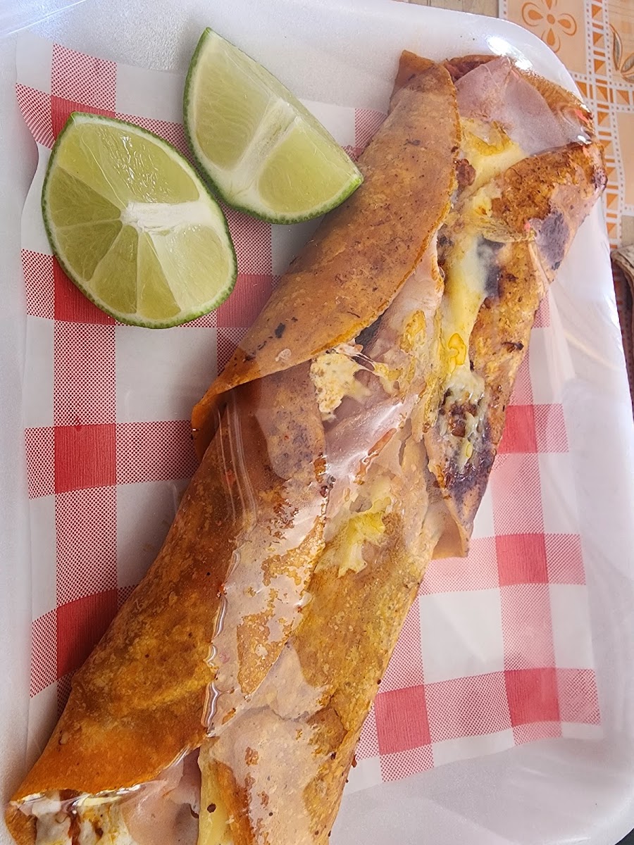 Tacos de Guisado Photo 8