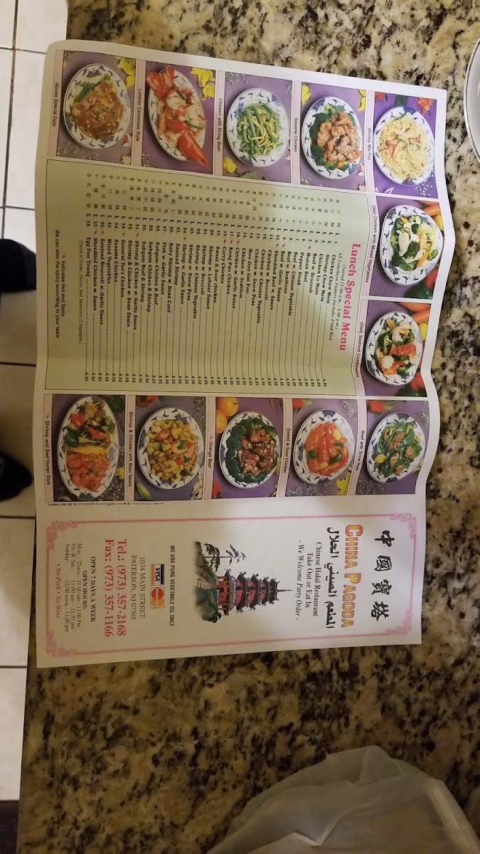 China Pagoda Halal Restaurant Photo Menu 5