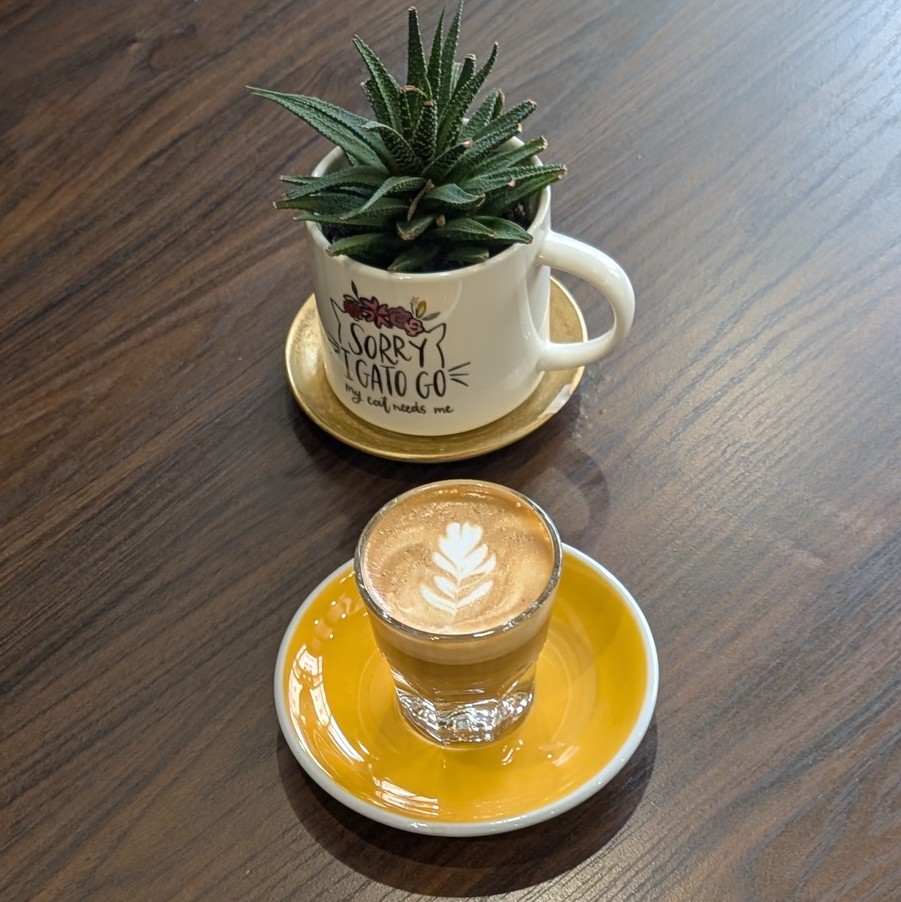 Storied Espresso & Boba - SCHENECTADY Photo 7