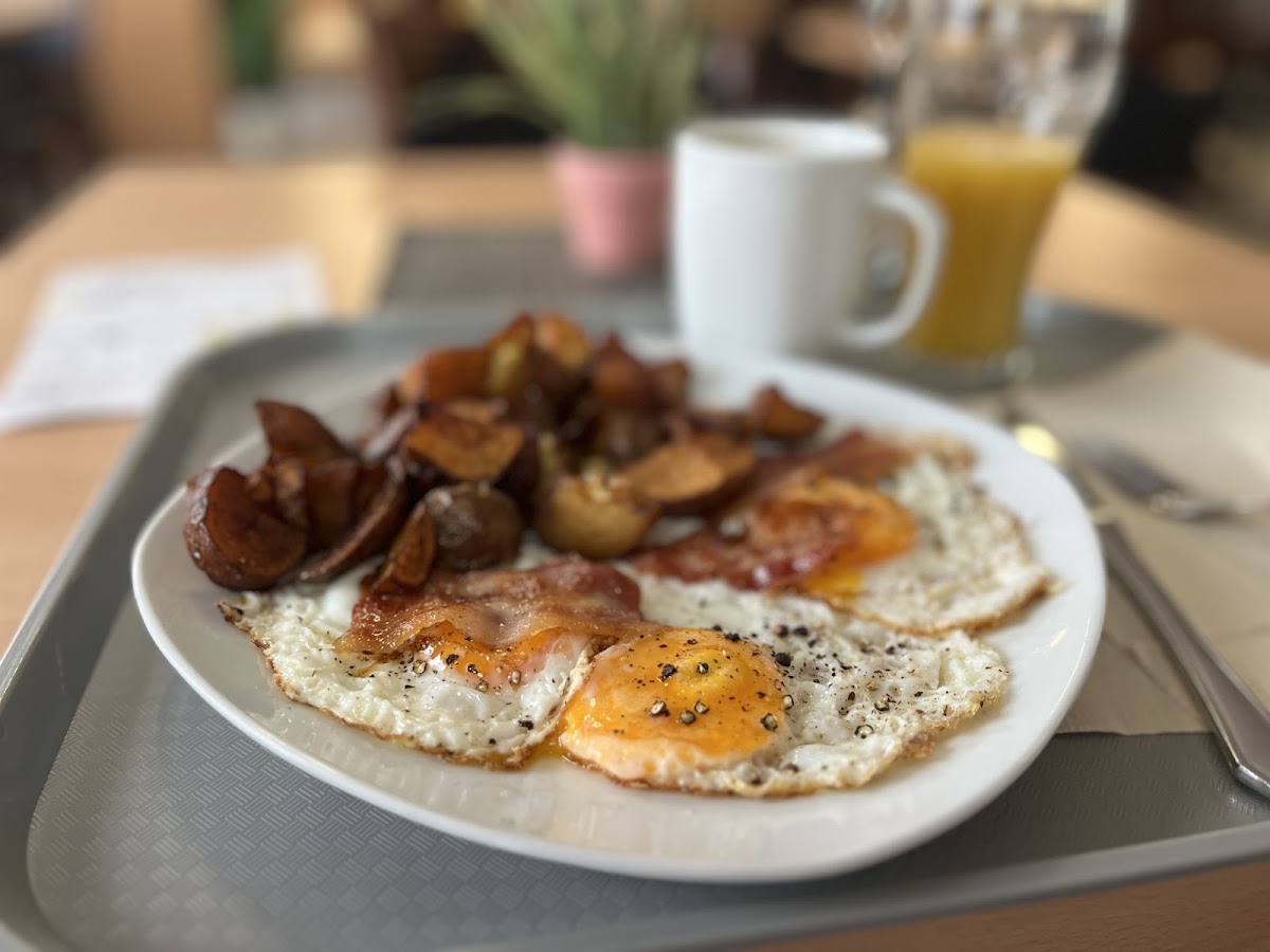 German Canteen Photo 2