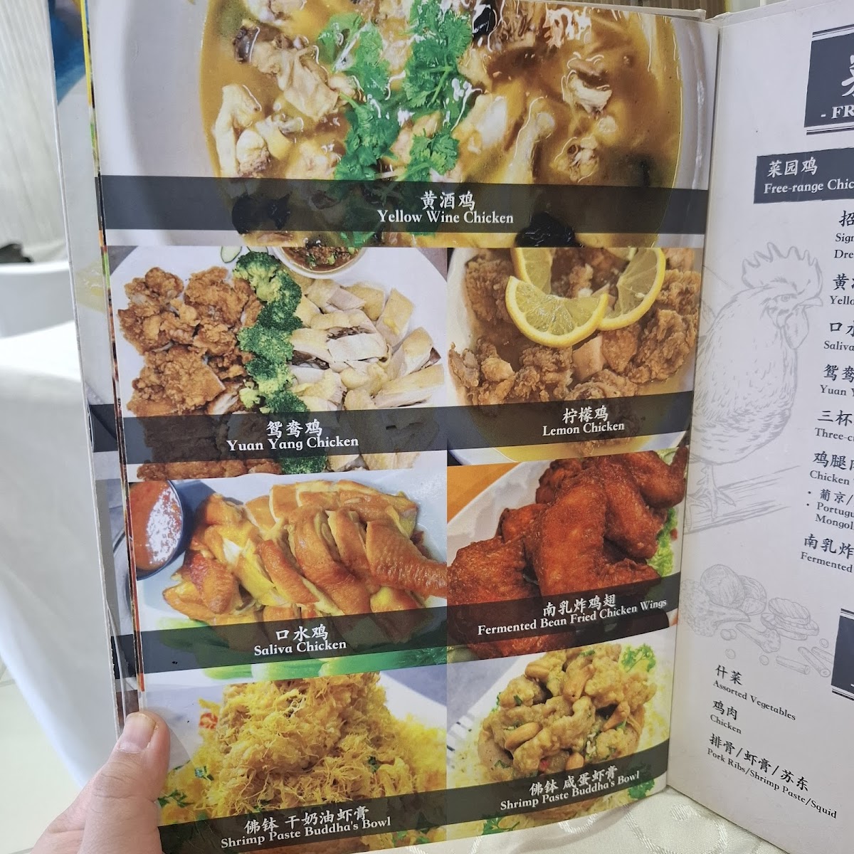 DPD Menjalara Seafood Restaurant 大排档海鲜饭店 Photo Menu 8