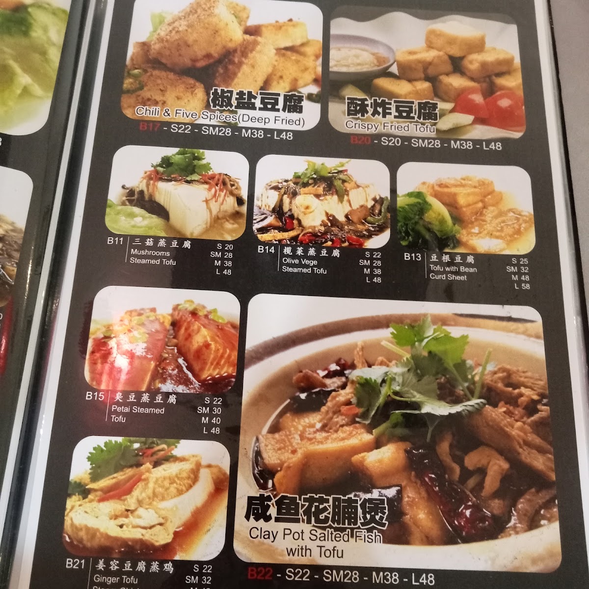 Nature's Vegetarian Restaurant Photo Menu 4