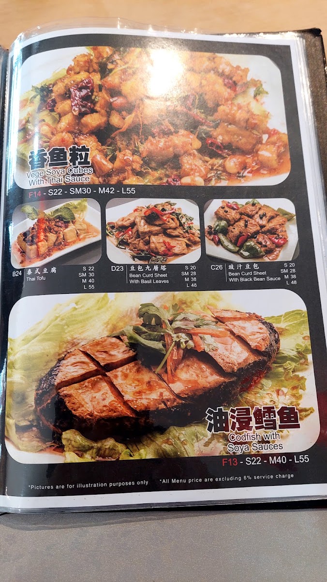 Nature's Vegetarian Restaurant Photo Menu 7