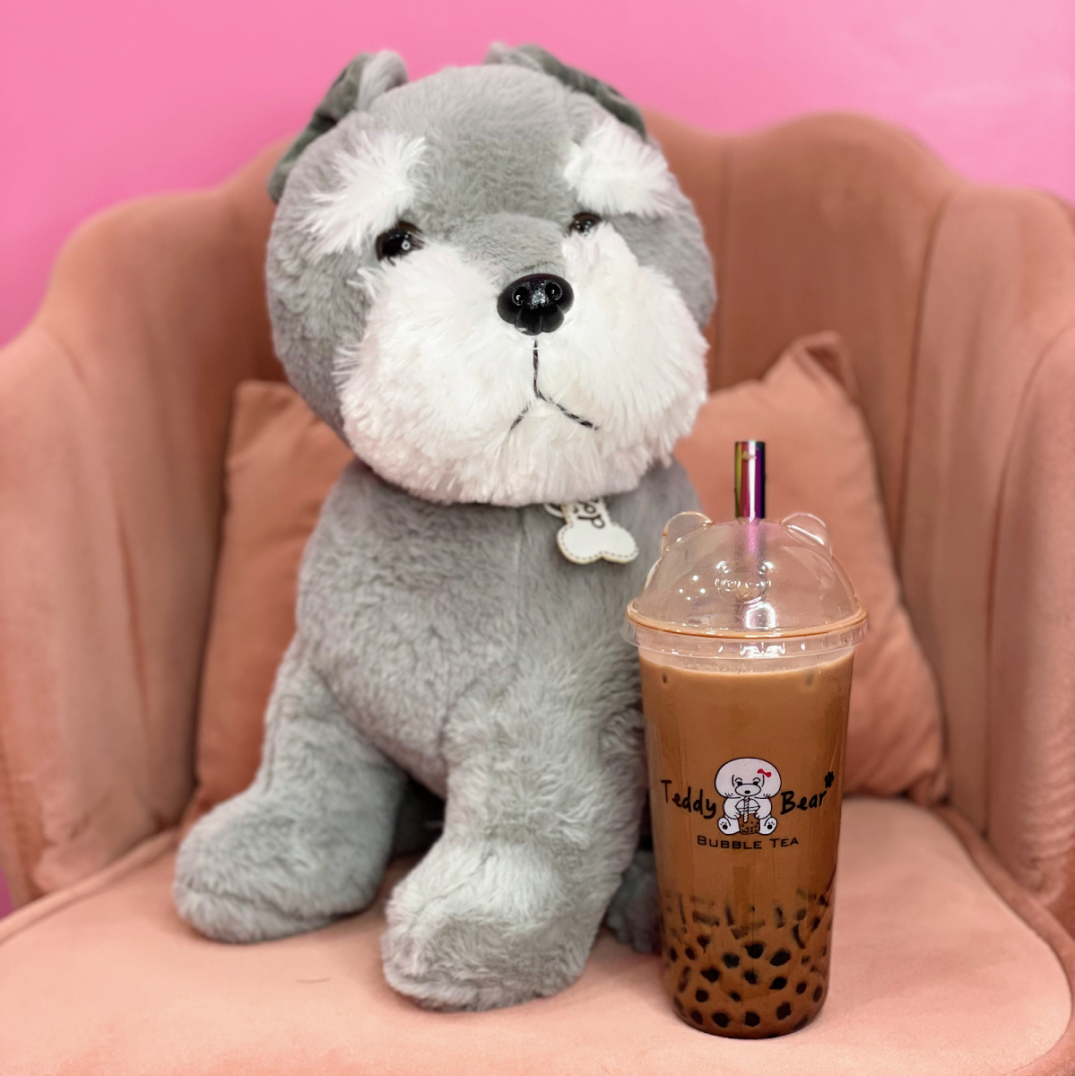 Teddy Bear Bubble Tea Watford Photo 4