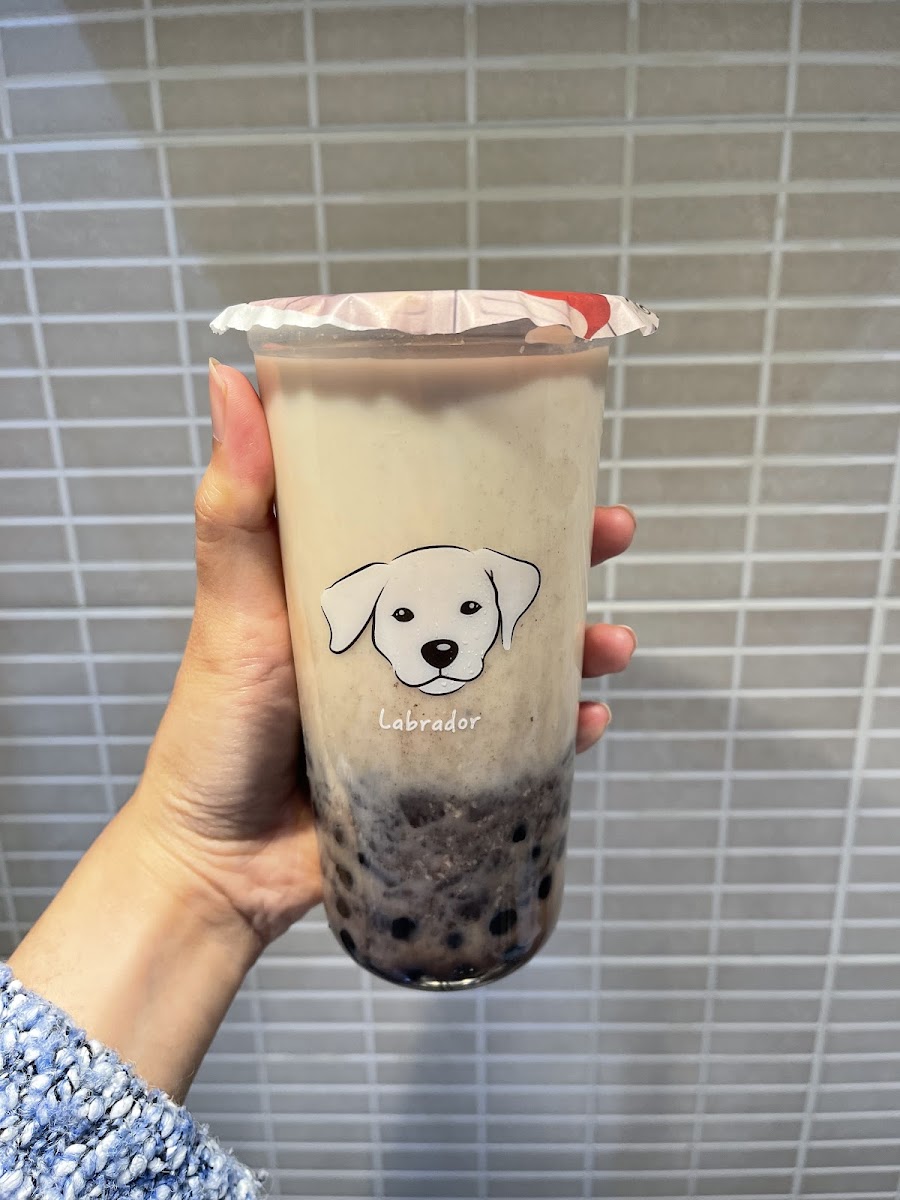 Teddy Bear Bubble Tea Watford Photo 7