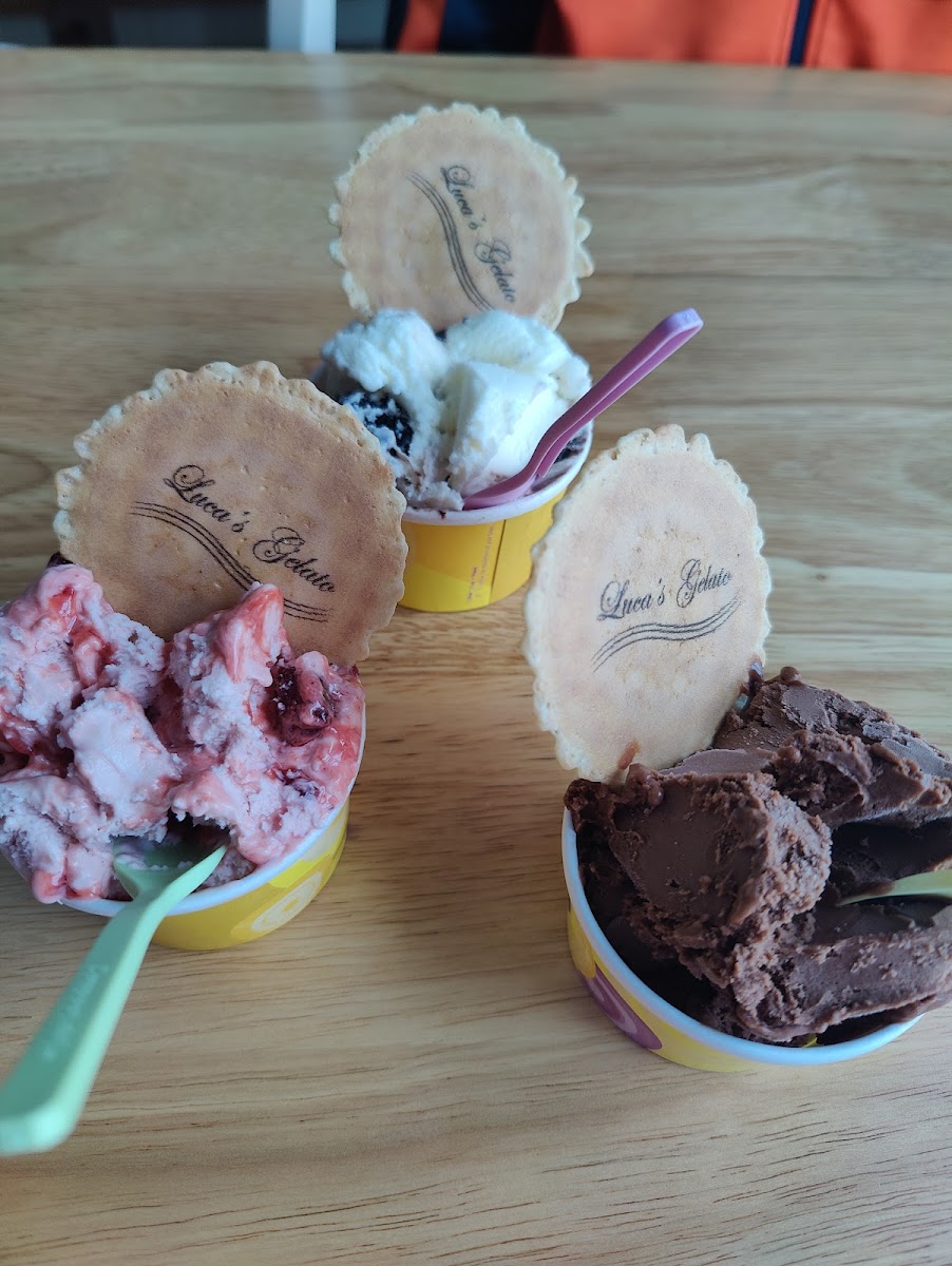 Luca's Gelato Photo 10