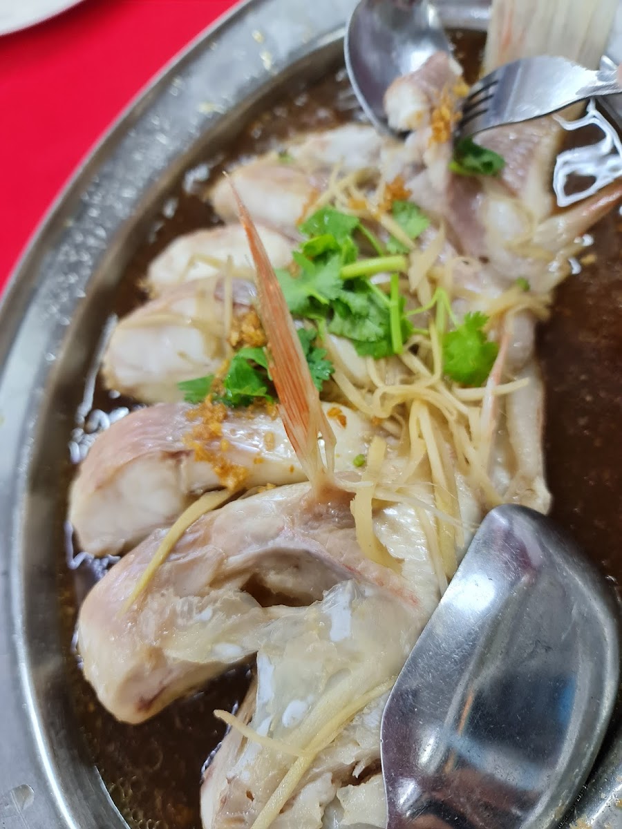 Restaurant TST Photo 9