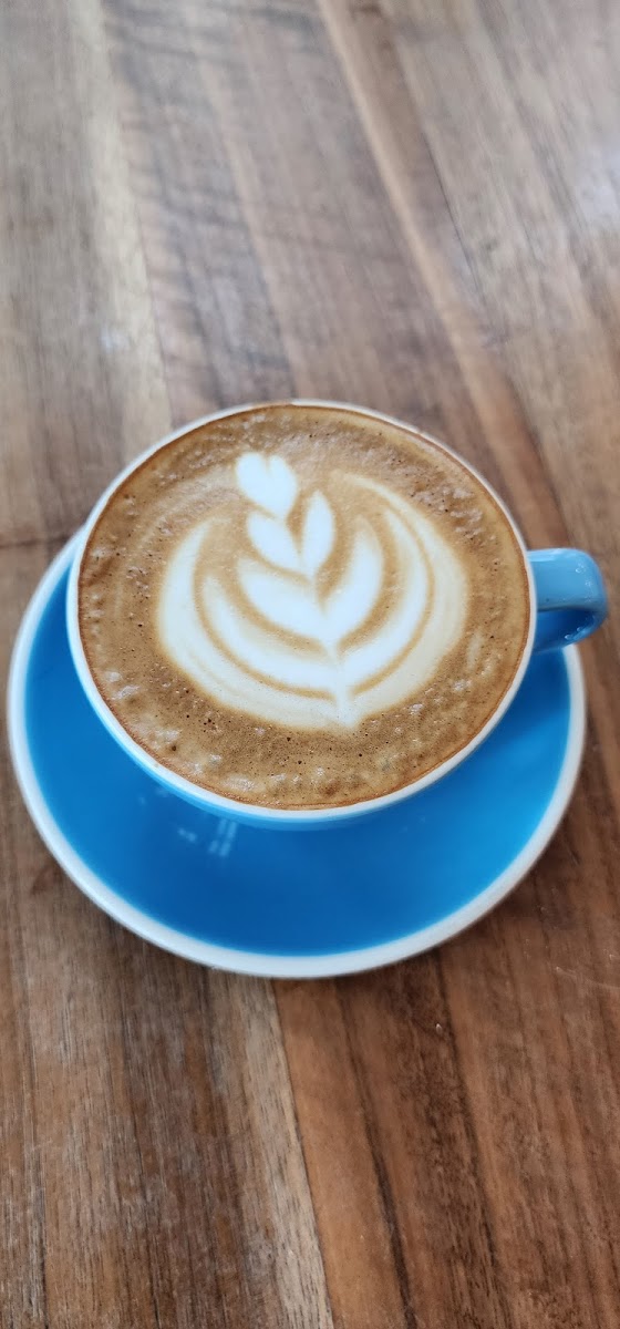 Spill the Beans Photo 7