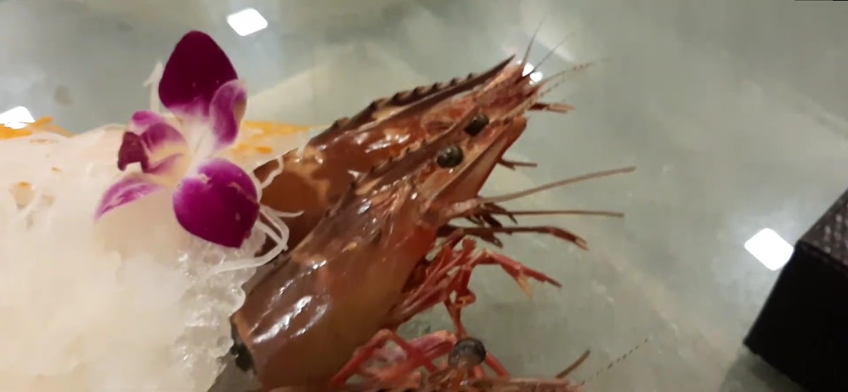 Hong Kong (Shark Fin) Restaurant 51 Co., Ltd. Photo 2