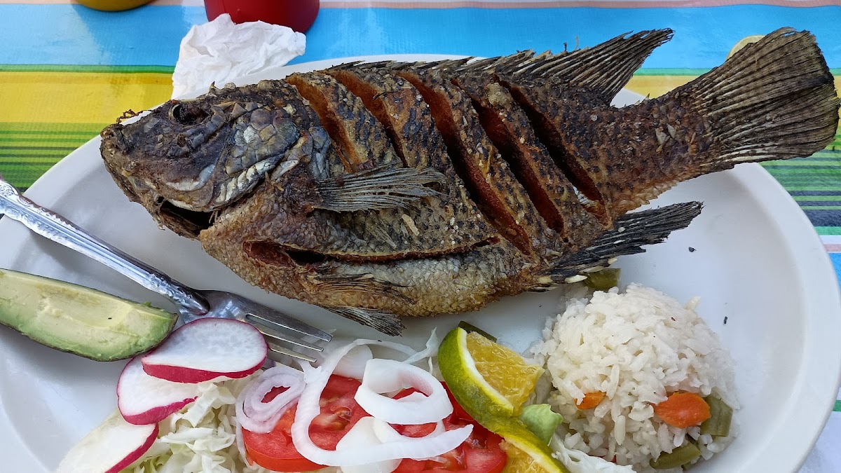 Marisqueria el PACHA Photo 3