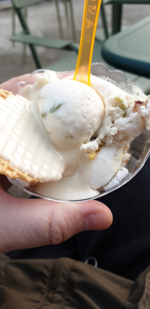 Gelateria Polin Photo 7