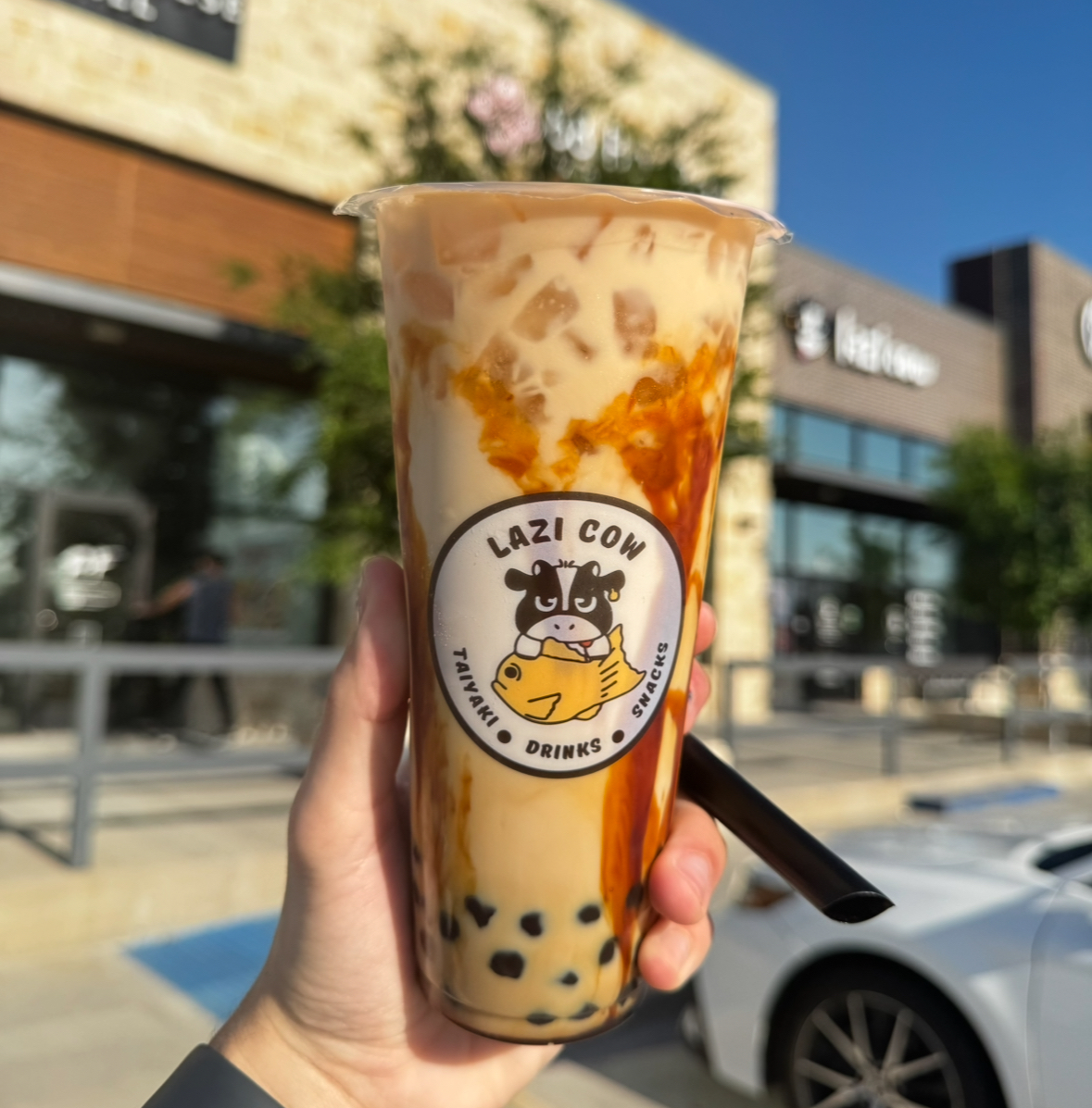 Lazi Cow - Frisco Photo 3