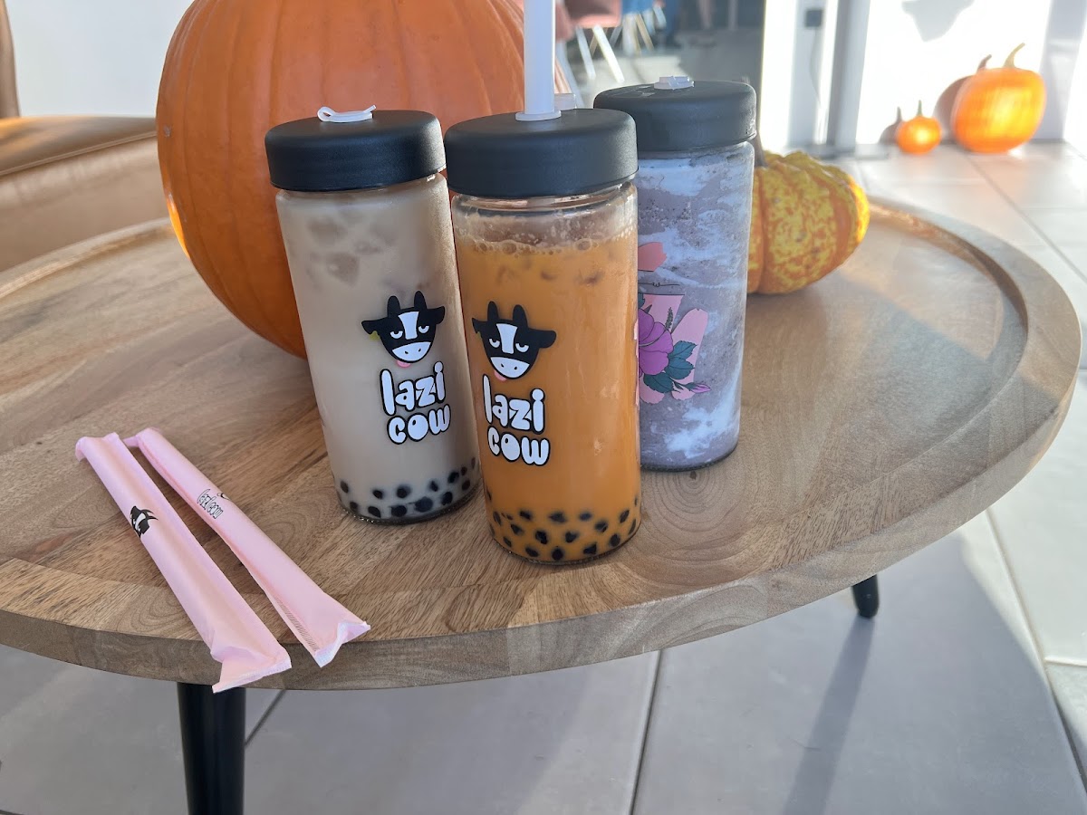 Lazi Cow - Frisco Photo 5