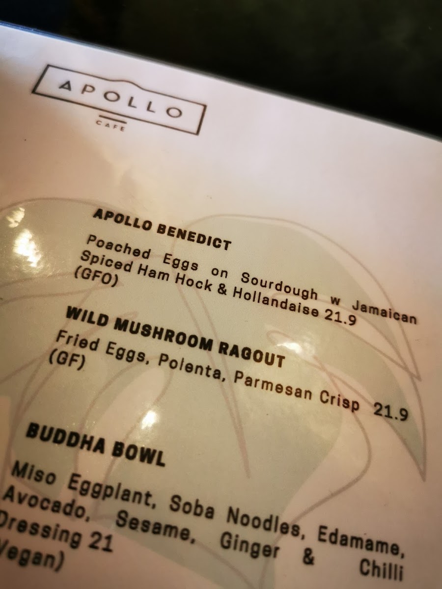 Apollo Cafe Photo Menu 4